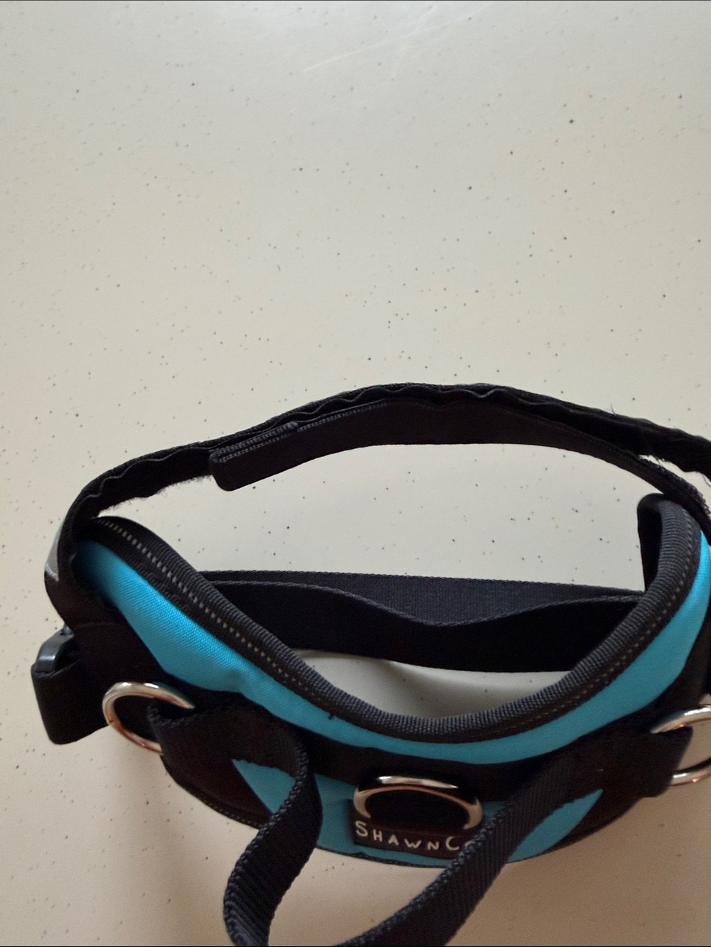 Shawn Co Small Dog Harness - Picture 8 of 8